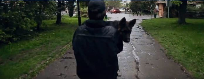 Відеоролик патрульної поліції Франківська змагається за звання найкращого в Україні (ВІДЕО)