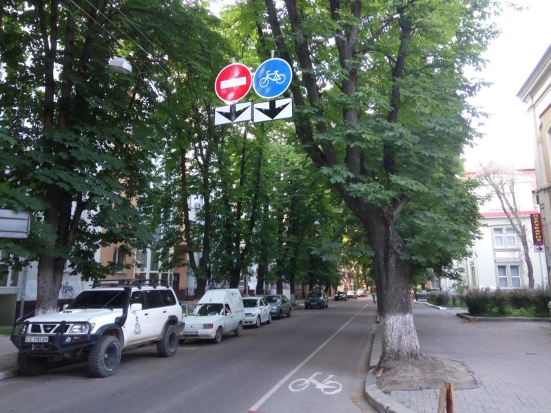 На вулиці Франка над велосмугою встановили дорожні знаки (ФОТО)