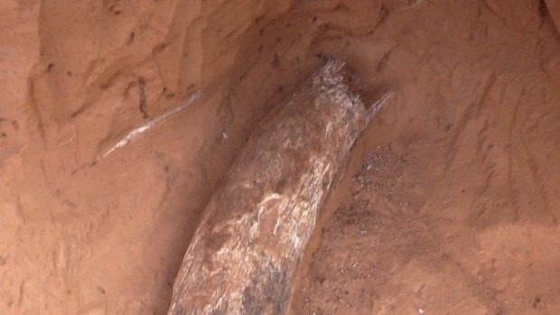 Археологи знайшли на Донеччині бивень мамонта (ФОТОФАКТ)