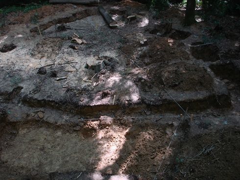 У Гошеві археологи знайшли фундамент давньої церкви