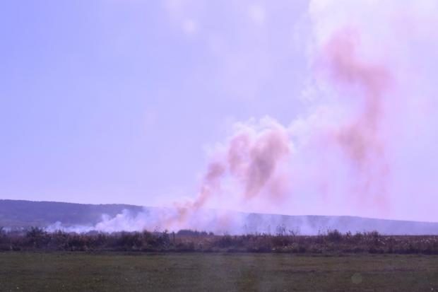 На Прикарпатті горить торфовище – кілька населених пунктів накрило димом (ФОТО)