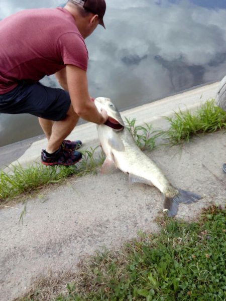 Велетенську рибину зловили в озері у Коломиї (ВІДЕО)