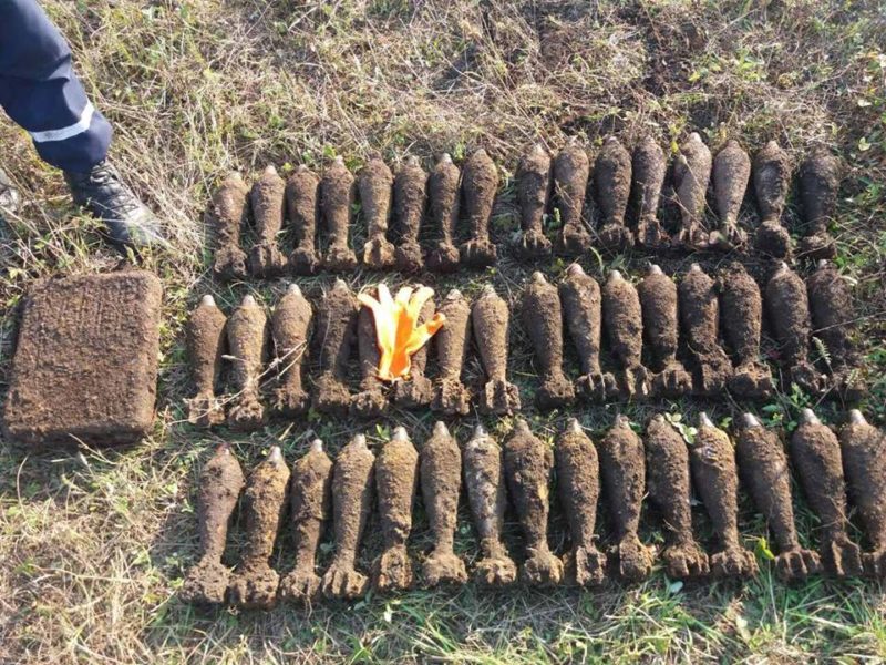 На пасовищі в Тлумацькому районі знайшли 48 мінометних снарядів