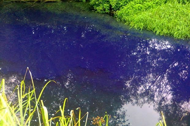 Прокуратура почала розслідування за фактом забруднення річки Сівка