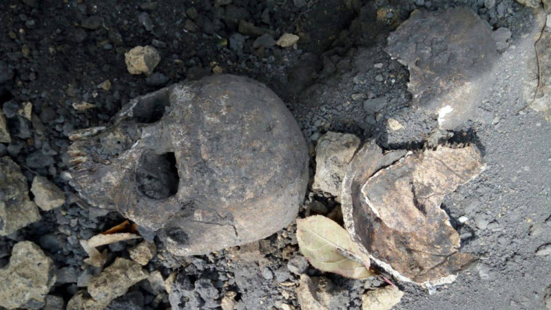 У Франківську відкопали людський череп (ФОТО)