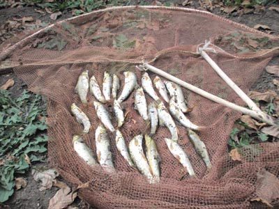 На Пруті спіймали браконьєрів, які наловили риби на 8 тисяч гривень
