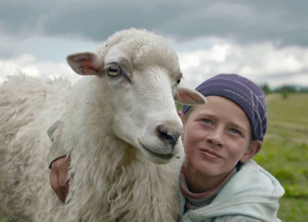 Вийшов трейлер знаменитого фільму про карпатських вівчарів “Жива ватра” (ВІДЕО)