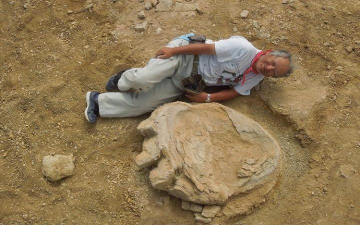 Археологи знайшли найбільший в історії слід динозавра (ФОТОФАКТ)