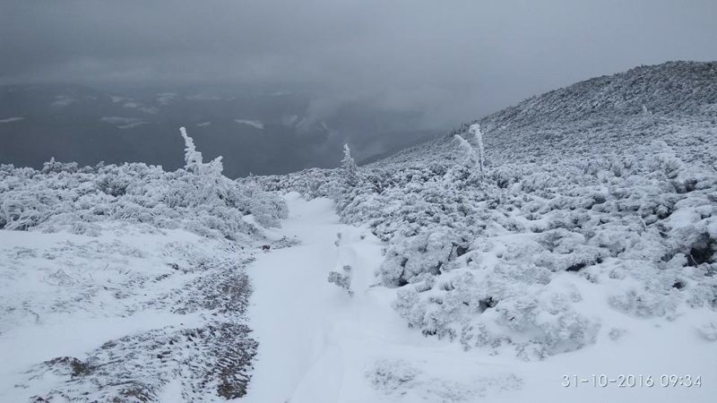 В мережі опублікували світлини засипаного снігом Чорногірського хребта (ФОТО)