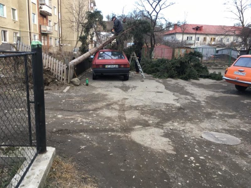 Наслідки буревію в Косові: на машину впало дерево (ФОТО)