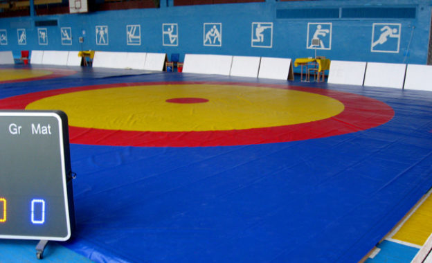 Прикарпатка стала срібною призеркою чемпіонату світу з боротьби (ФОТОФАКТ)