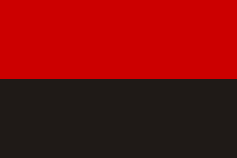 “Ми пишаємося тим, що ми – бандерівці”: Франківськ зустрічатиме патріотичні свята під червоно-чорними стягами
