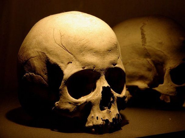 В одному з франківських дворів знайшли людський череп