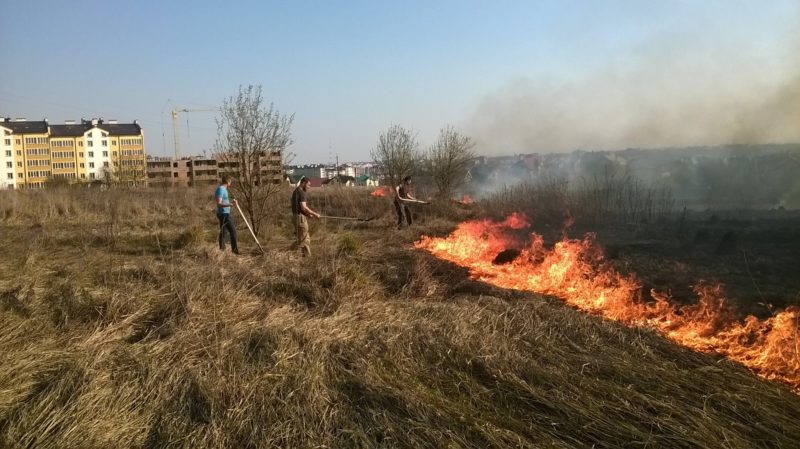 На Прикарпатті під час спалювання сухої трави згорів автомобіль
