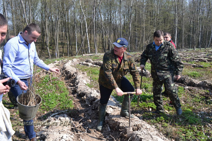 На межі Тисменицького та Галицького районів посадили три тисячі дерев (ФОТО)