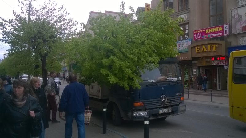 На Новгородській вантажівка поламала дерево (ФОТО)