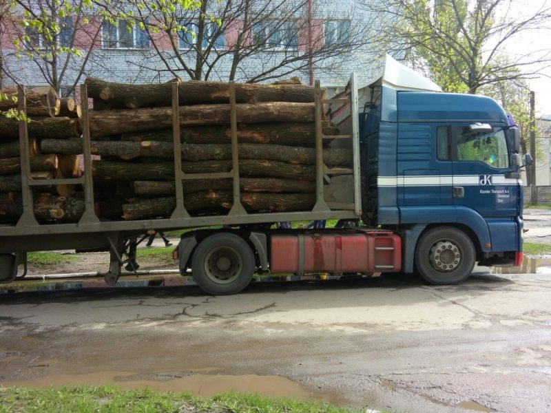 Дві вантажівки із кругляком дуба затримали калуські правоохоронці (ФОТО)