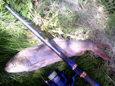 У міському парку спіймали браконьєрів, які ловили рибу у “Лебединому озері” (ФОТО)