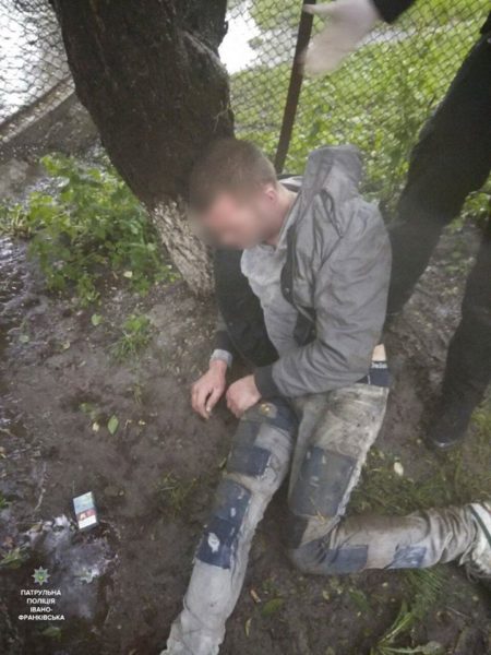 У Франківську грабіжник тікав від поліції та вдарився об дерево