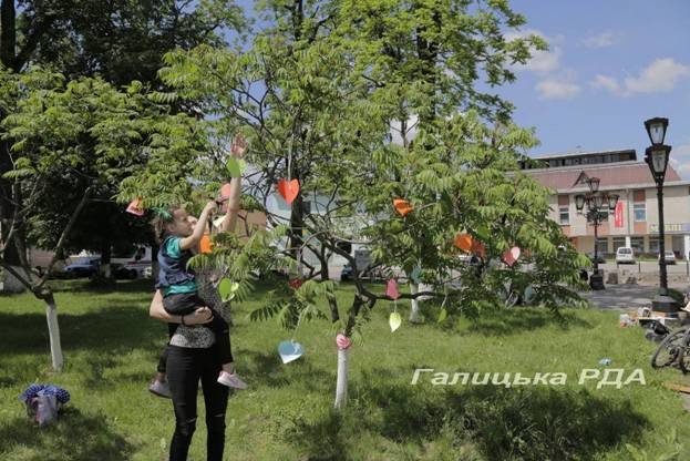 Юні галичани долучилися до акції «Дерево Бажань» (ФОТО)