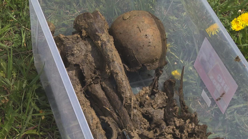 На Франківщині знайшли людські рештки та речі часів Другої світової війни (ВІДЕО)