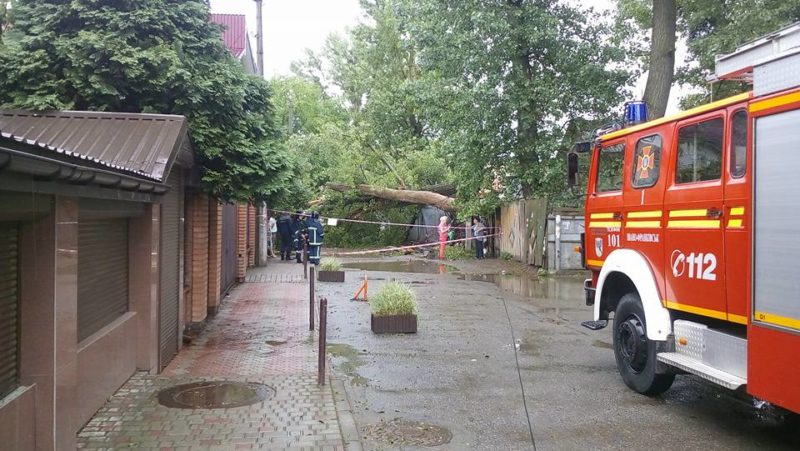 Після негоди рятувальники розрізали 10 повалених дерев та звільнили заблоковане авто