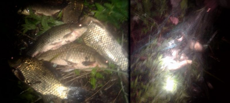 На Коломийщині затримали браконьєра, який вночі ловив рибу
