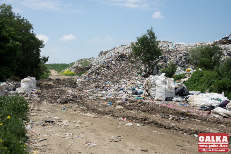 Цьогоріч на Франківщині виявили вже понад 300 стихійних сміттєзвалищ
