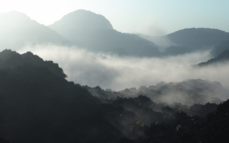 У Карпатах через туман заблукала група франківських туристів
