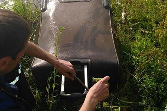 Болгарську студентку, яку знайшли у валізі в озері на Рогатинщині, вбили тупим предметом, – поліція