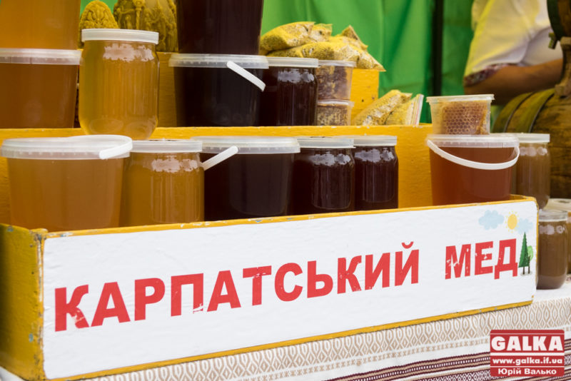 ТОП-5 міфів про мед від прикарпатського пасічника