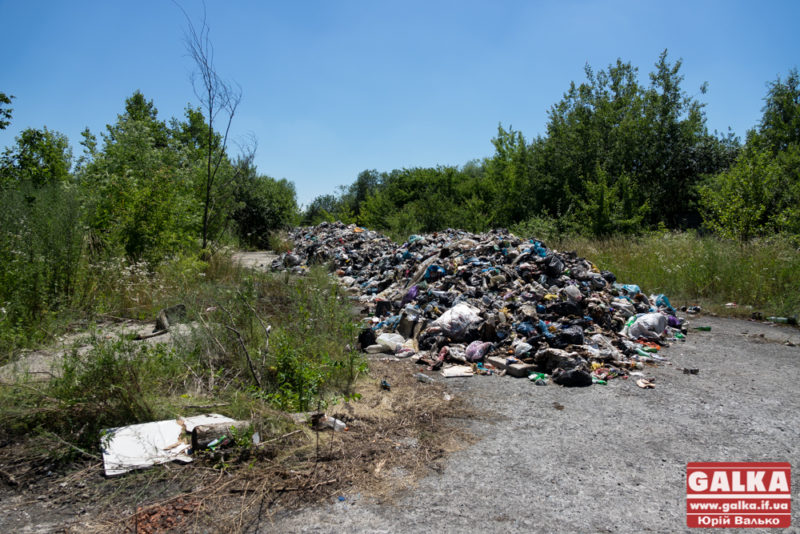 У Львівській ОДА сміття на Прикарпатті назвали провокацією