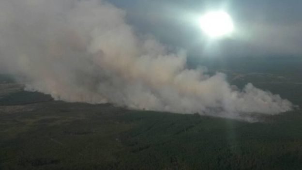 На Житомирщині горять 120 гектарів заповідника