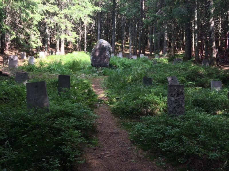Франківка віднайшла австрійський цвинтар часів Першої світової війни (ФОТО)