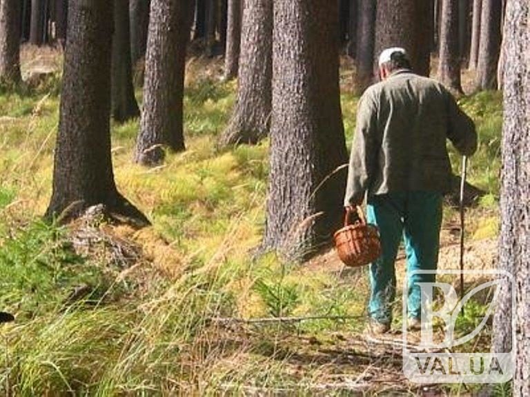 Прикарпатські рятувальники розшукали двох заблукалих грибників