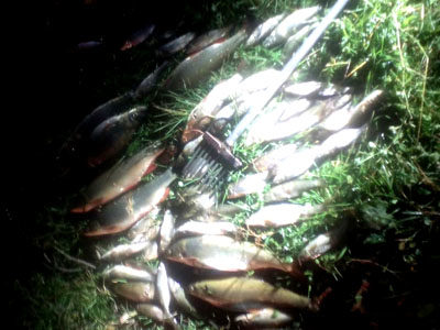 Франківський рибпатруль затримав браконьєрів із уловом на 10 тисяч гривень (ФОТО)