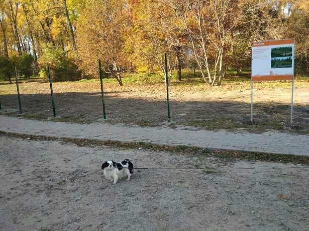 У Франківську облаштовують перший майданчик для вигулу собак (ФОТО)