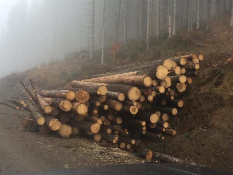 Вантажівку із краденим лісом затримали на Долинщині