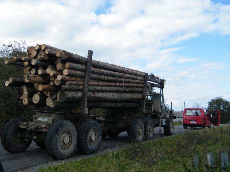Рейдова група на Прикарпатті зупиняла лісовози (ФОТО)