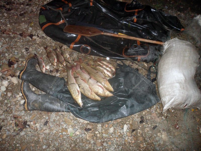 На ріці Прут рибінспектори спіймали чотирьох браконьєрів (ФОТО)