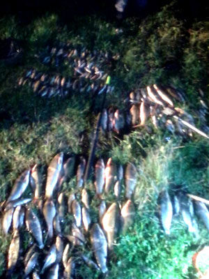 На Прикарпатті спіймали браконьєрів, які зловили майже триста рибин