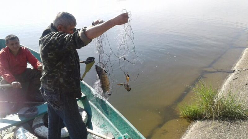 У міському озері знайшли браконьєрські сітки