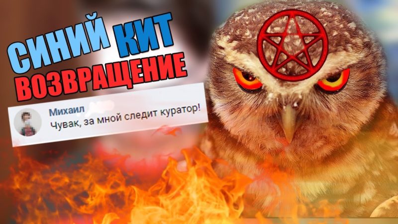 Росія запустила нову смертельну гру для підлітків – Красная сова