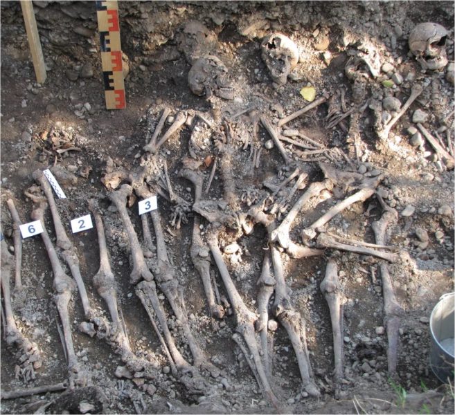 У Франківську виявили 134 скелети з простріленими черепами (ФОТО)
