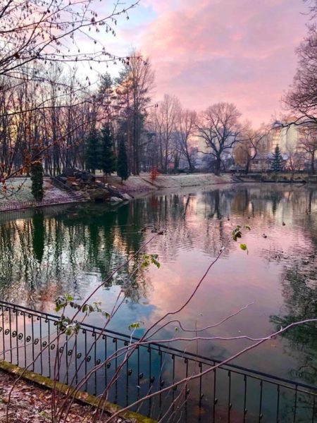 Чарівні світлини ранкового парку Шевченка з’явилися в мережі (ФОТО)