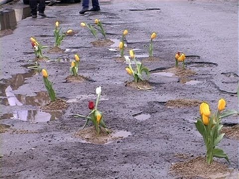 «Засади УкрАвтоДор». Франківські водії влаштовують квіткову акцію проти ям на дорогах