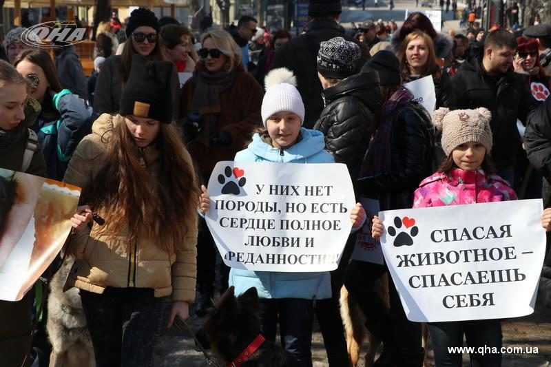 Марш врятованих собак пройшов в Одесі (ФОТО)