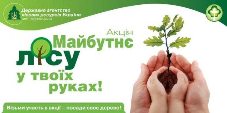 Прикарпатські школярі долучилися до Всеукраїнської акції “Майбутнє лісу в твоїх руках” (ФОТО)