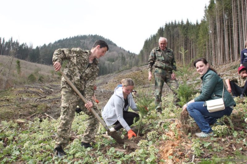 В урочищі Дземброня школярі висадили ялицю, бук та кедр (ФОТО)