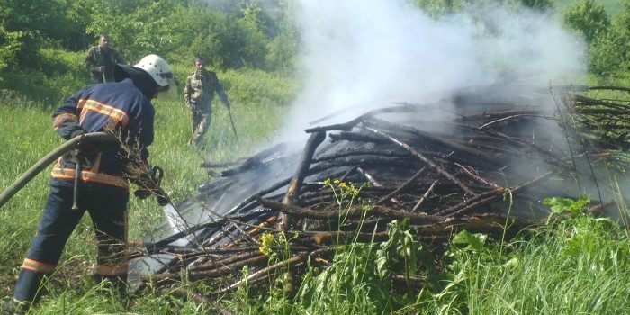 На Прикарпатті надзвичайники тренувалися гасити лісову пожежу (ФОТО)